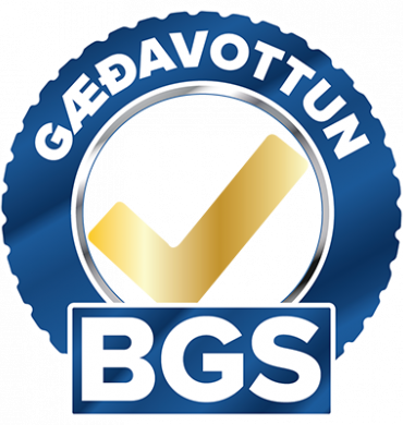 Öflugt og vel búið alhliða bíla- og tjónaviðgerðaverkstæði